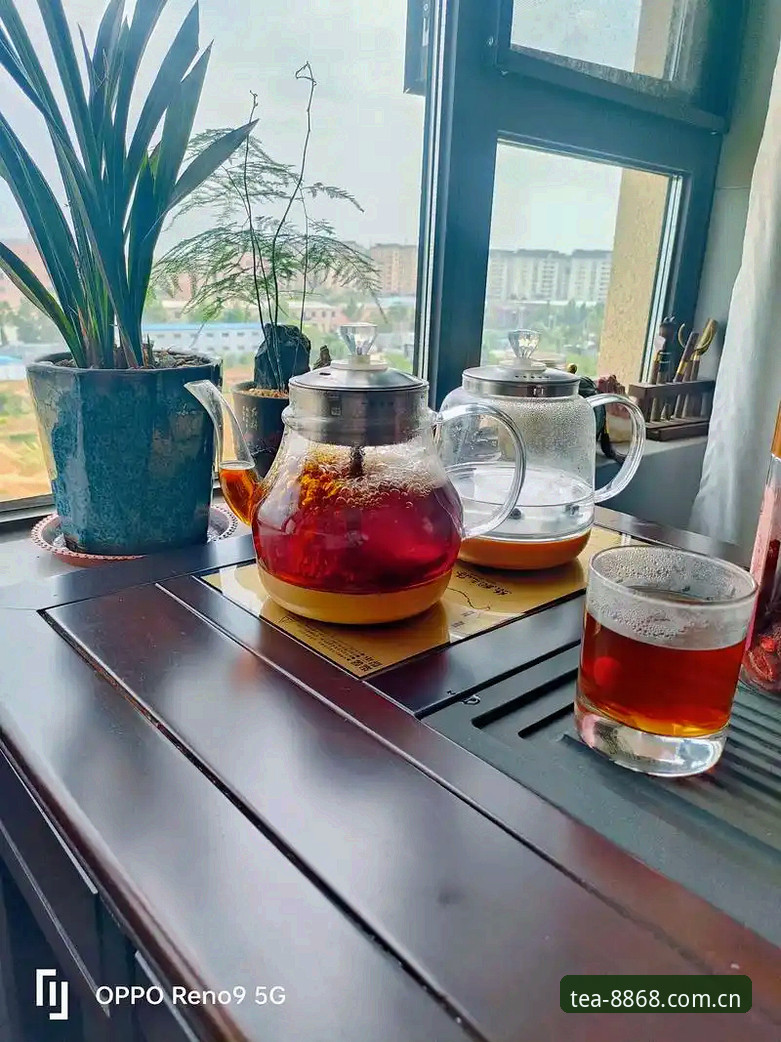 8868体育官网兼容版深度评测：哪一版真正配得上你闲时那杯茶？