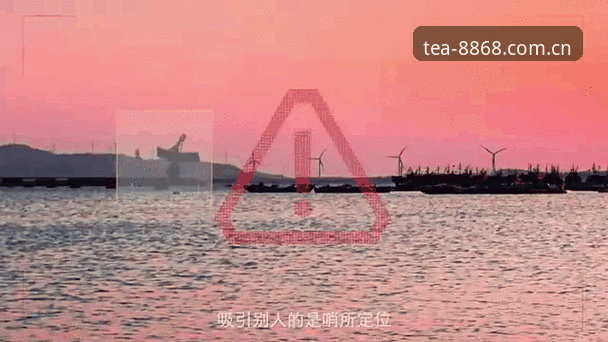 体育官方中国站丨闲暇时倒上一杯茶兼容版 8868体育官网你不知道的事——半个行业都在用的“兼容版”到底藏了什么秘密?